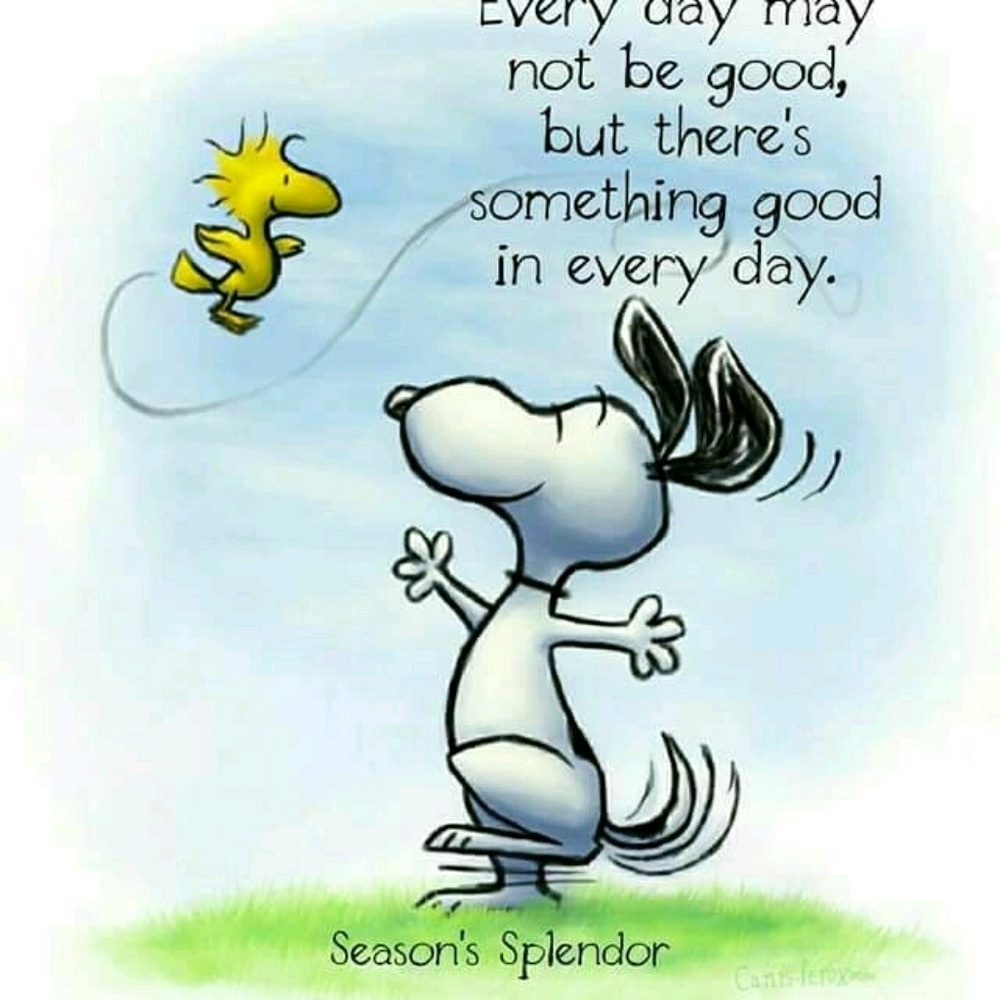 Meet your Posher, Patty